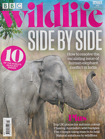 Read Mark's provocative and insightful conservation column in BBC Wildlife