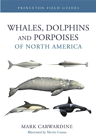 Mark's new field guide to cetaceans of North America is now available 