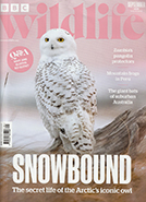 Read Mark's insightful conservation column in BBC Wildlife