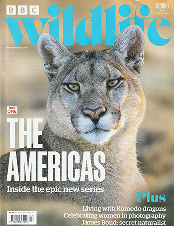 Read Mark's provocative and insightful conservation column in BBC Wildlife
