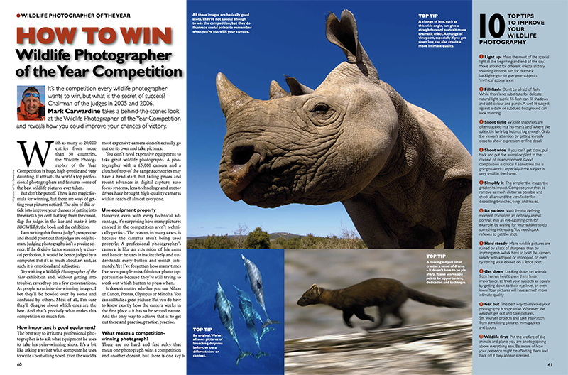 Image representing Mark Carwardine who was chair of BBC Wildlife Photographer of the Year, advises how to win a Photography Competition