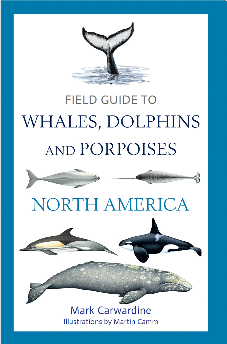 Field Guide to Whales, Dolphins and Porpoises in North America  (pre-order now!)