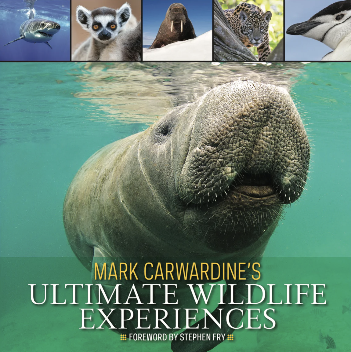 Mark Carwardine’s Ultimate Wildlife Experiences (with a Foreword by Stephen Fry)
