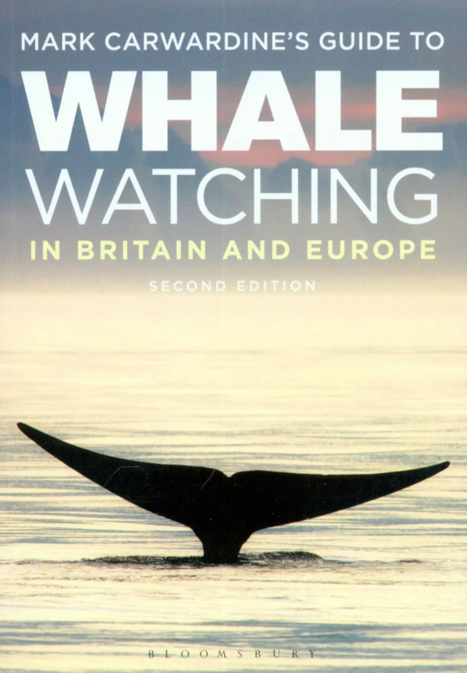 Mark Carwardine’s Guide to Whale Watching in Britain and Europe