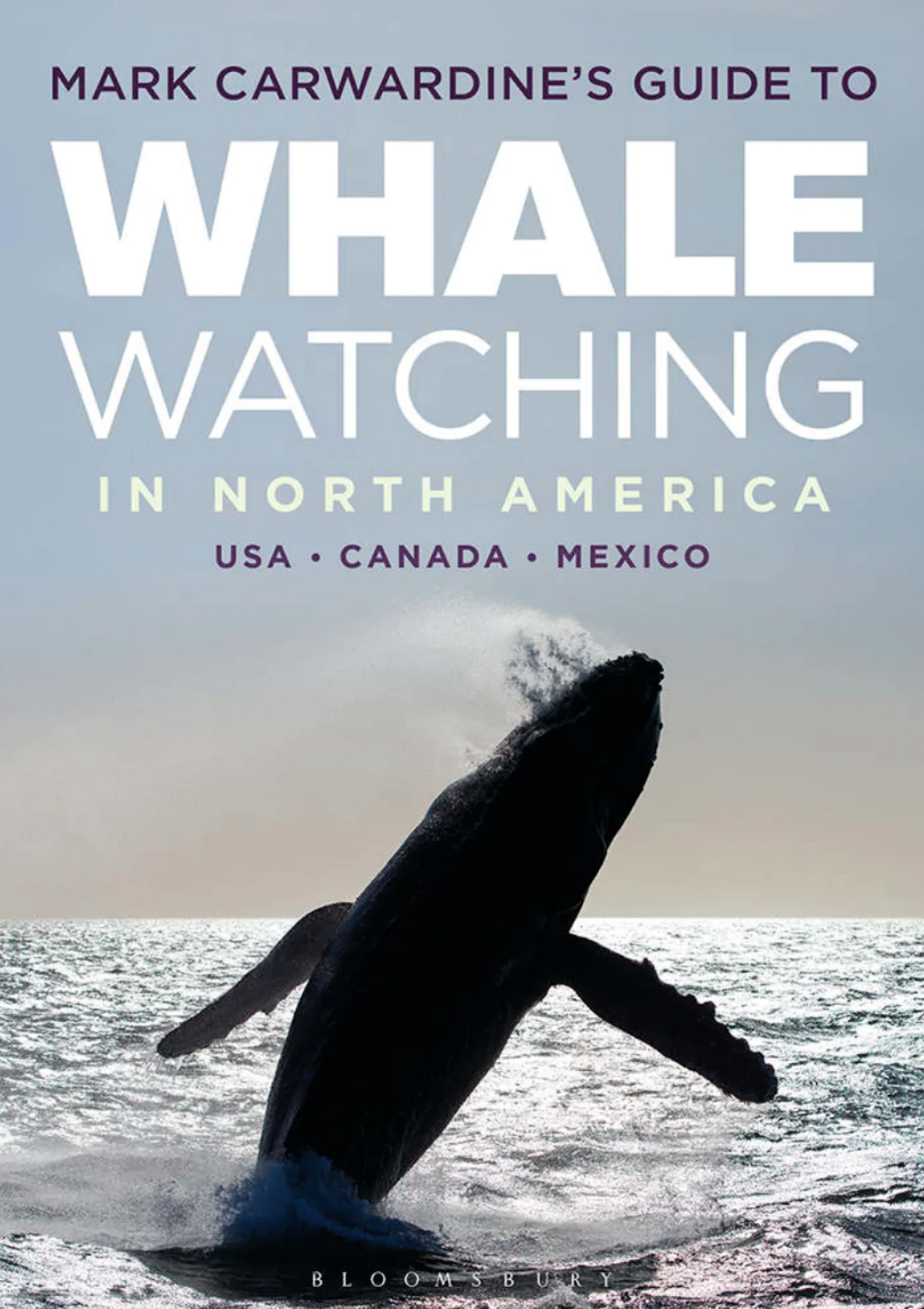 Mark Carwardine’s Guide to Whale Watching in North America