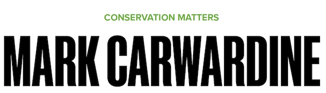 BBC Wildlife - Mark Carwardine's Conservation Matters
