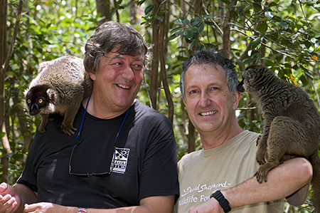 Primate time, with Stephen Fry and brown lemurs, in Madagascar