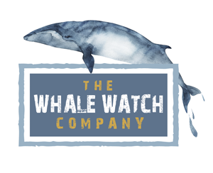 The Whale Watch Company logo