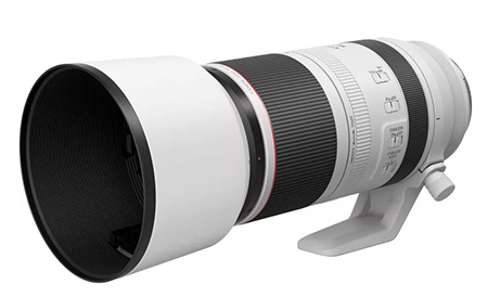 Canon RF 100-500mm F4.5-7.1L IS USM Lens