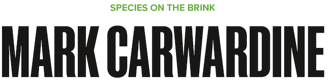 BBC Wildlife - Mark Carwardine's Species on the Brink