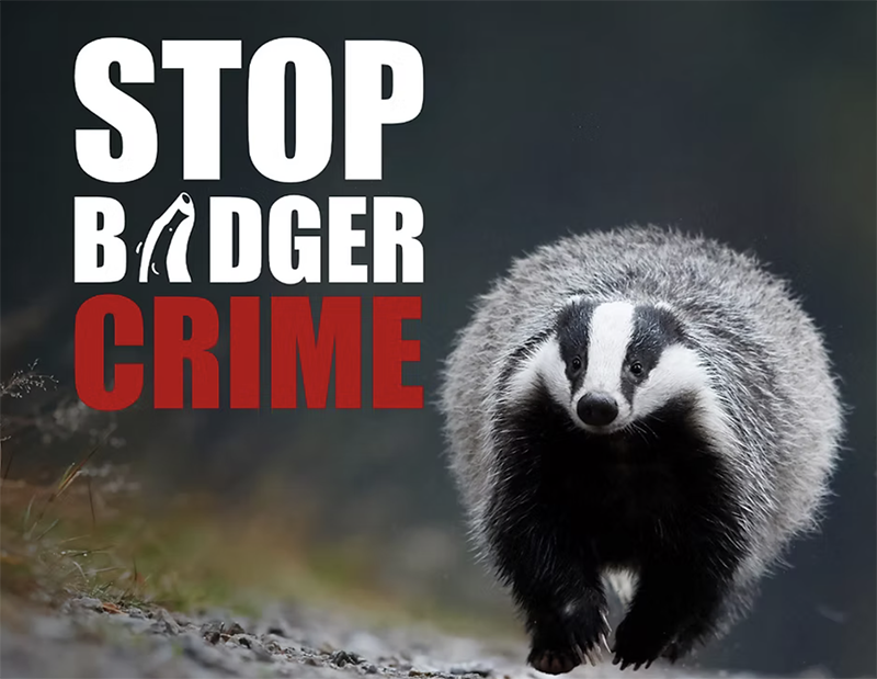 Image representing Mark Carwardine suggests which wildlife charities to support