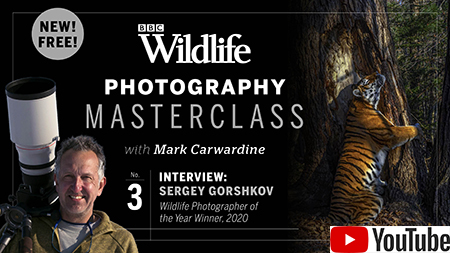 3. Interview with Sergey Gorshkov, winner of Wildlife Photographer of the Year 2020