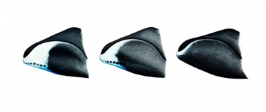 Image of Bowhead whale (Balaena mysticetus) - Chin variations