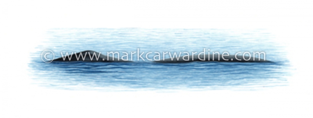 Bowhead whale (Balaena mysticetus)