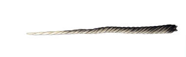 Image of Narwhal (Monodon monoceros) - Male tusk