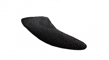 Image of Pygmy killer whale (Feresa attenuata) - Flipper variation