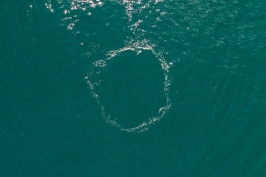 Image of Blue whale (Balaenoptera musculus) - Flukeprint, Baja California, Mexico, North Pacific, aerial