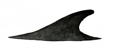 Image of Fin whale (Balaenoptera physalus) - Dorsal fin