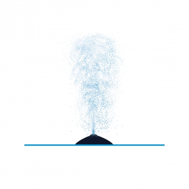 Image of Omura’s whale (Balaenoptera omurai) - Blow or spout
